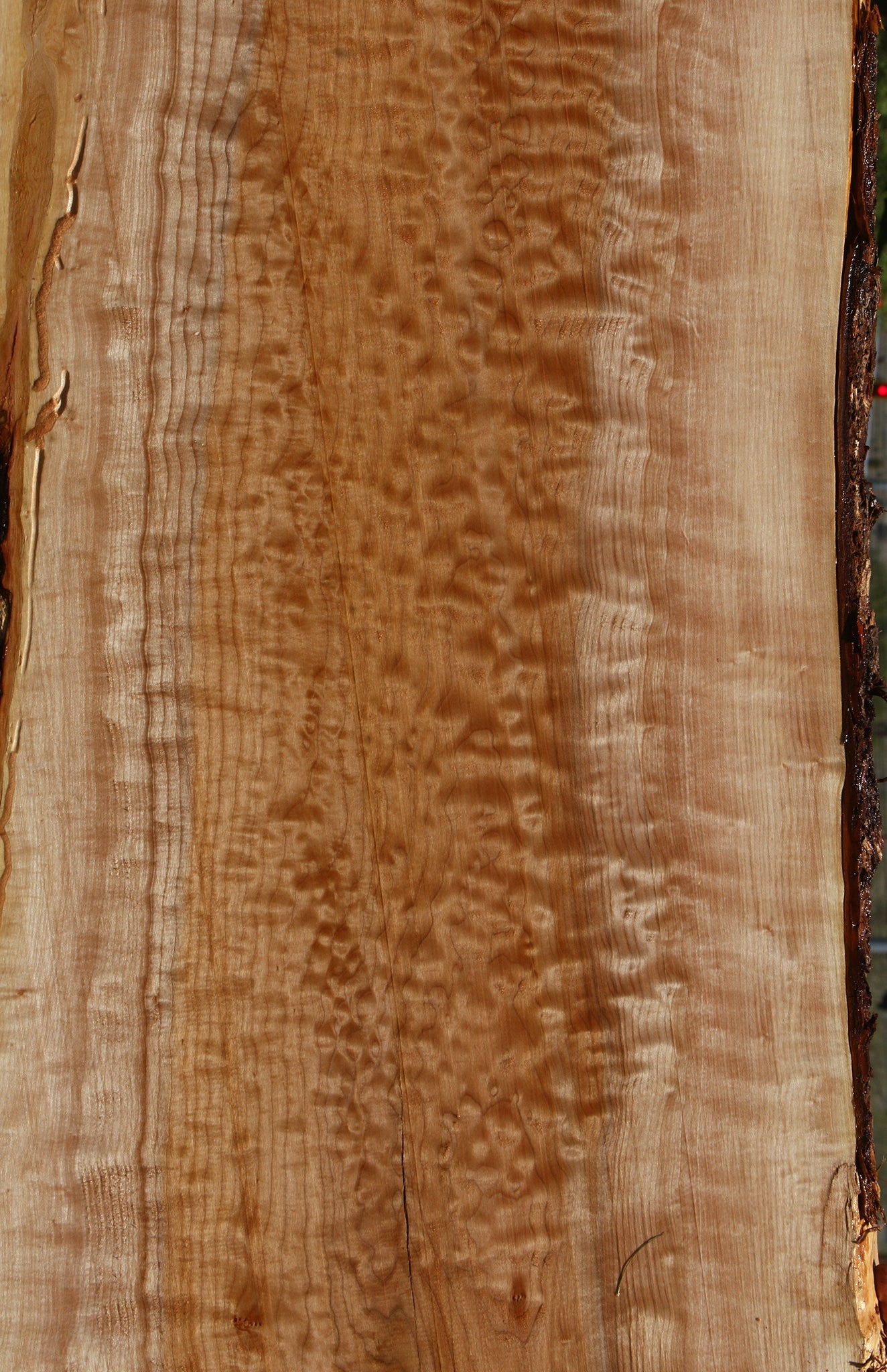 Extra Fancy Quilted Maple Live Edge Slab (Free Shipping Excluded)
