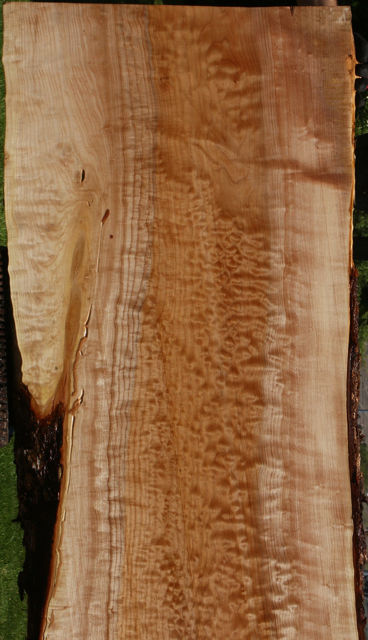 Extra Fancy Quilted Maple Live Edge Slab (Free Shipping Excluded)