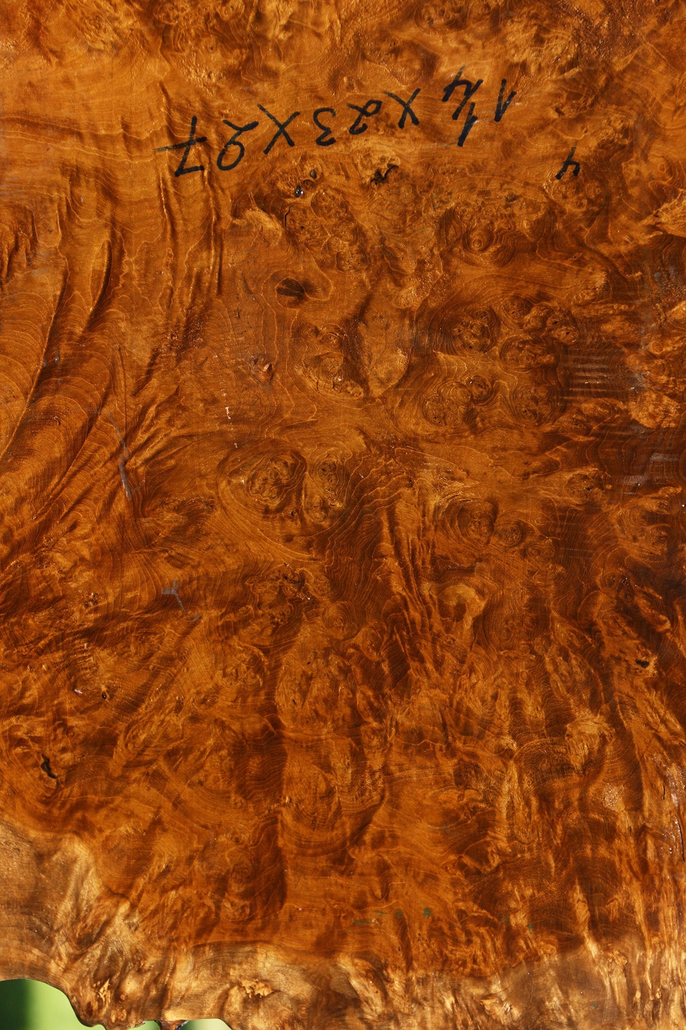Almond Burl Cookie