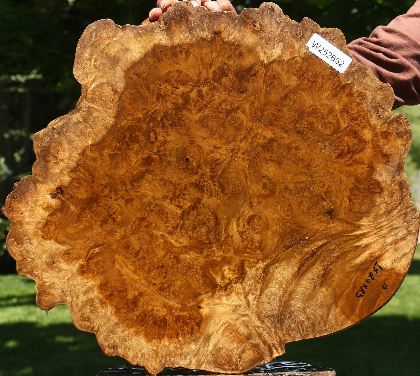 Almond Burl Cookie