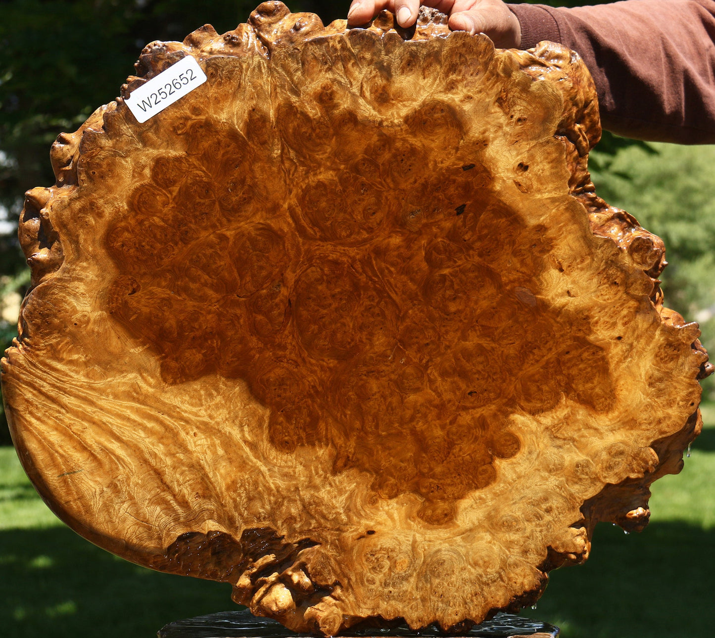 Almond Burl Cookie