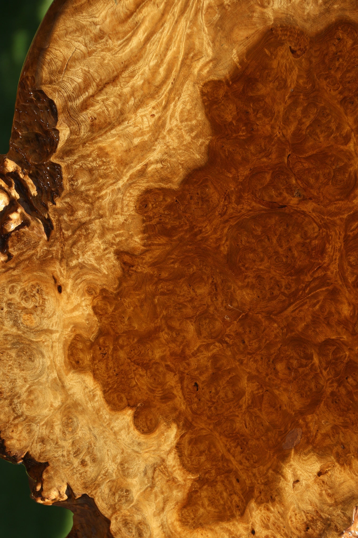 Almond Burl Cookie
