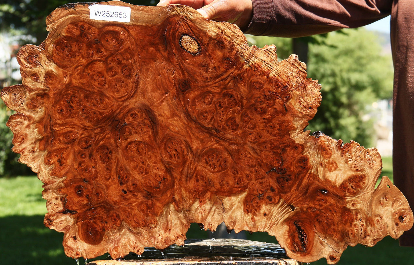 Pan Burl Cookie