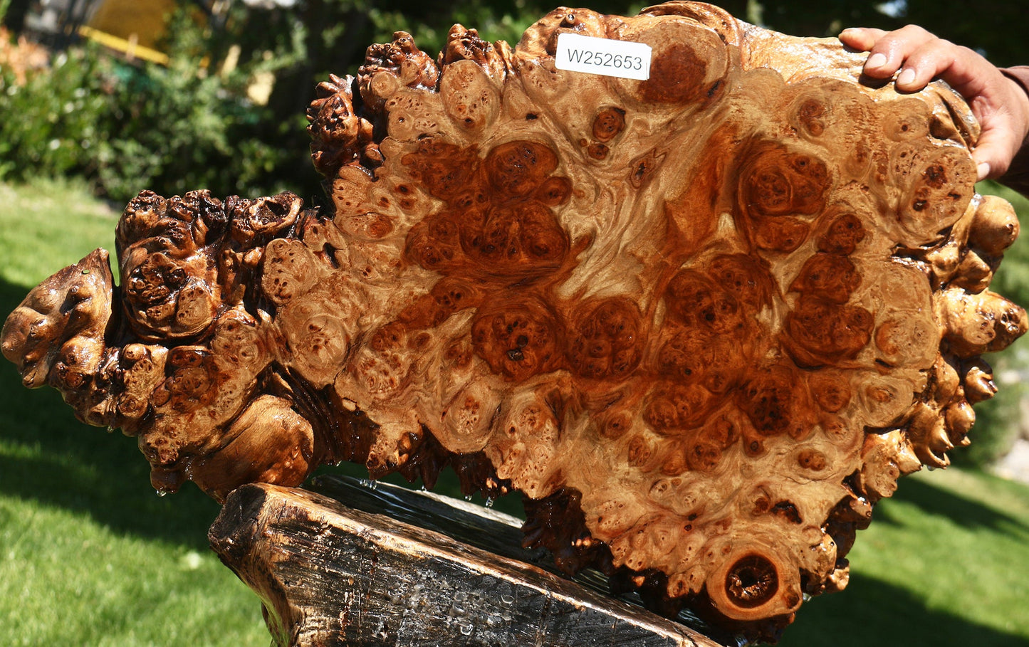Pan Burl Cookie