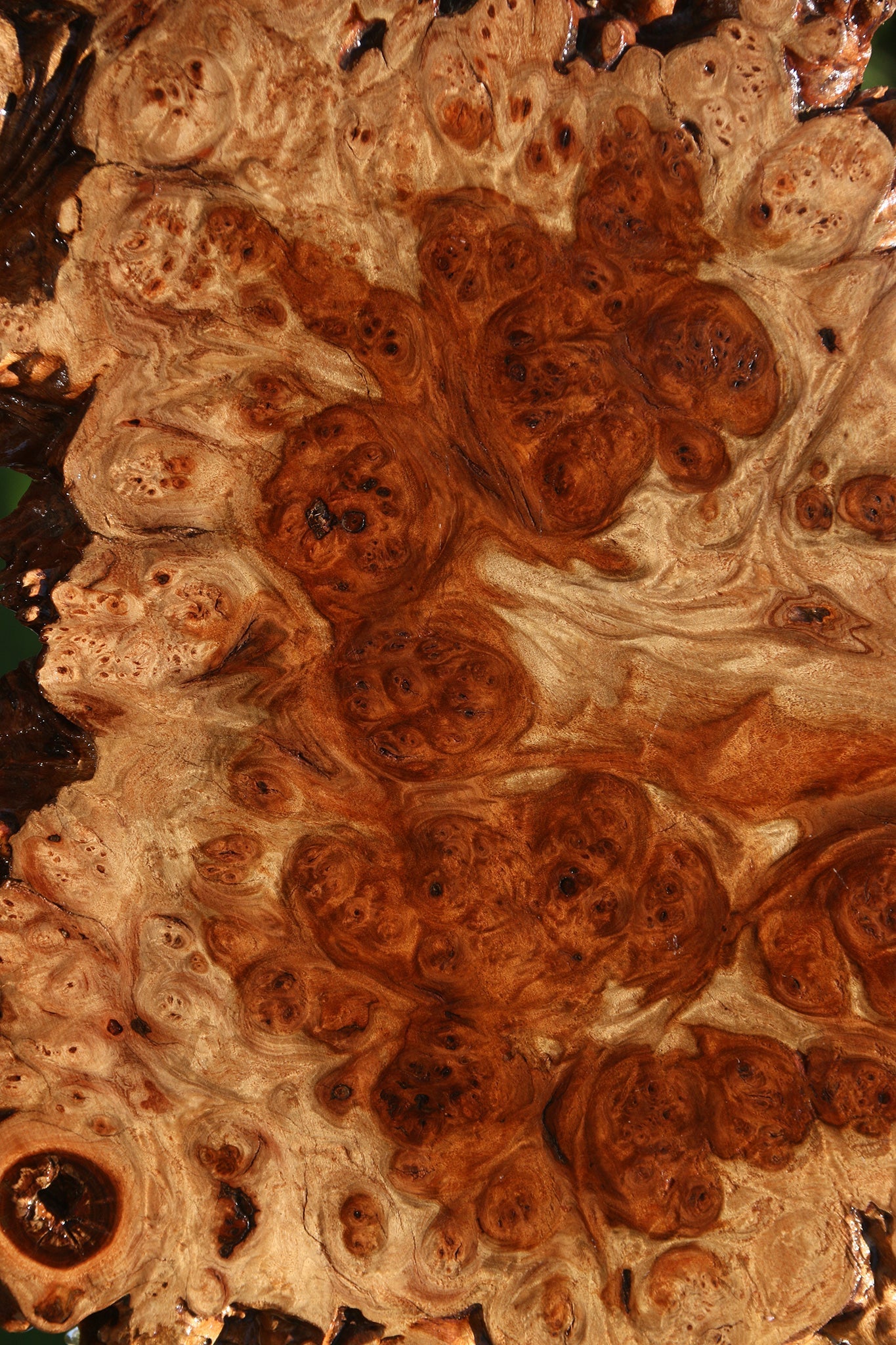 Pan Burl Cookie