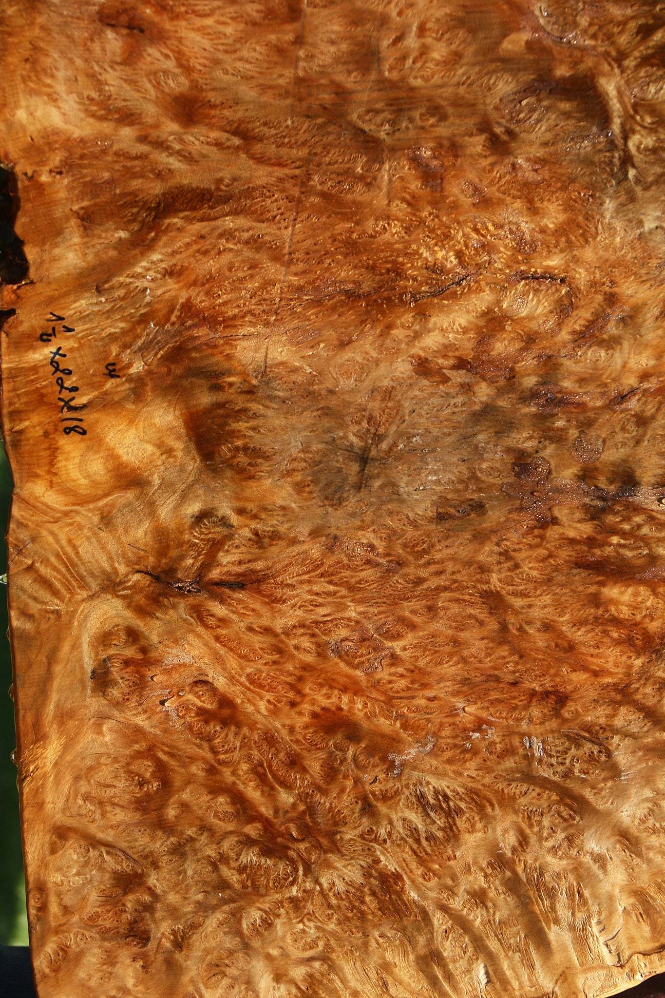 Asian Satinwood Burl Live Edge Mini Slab