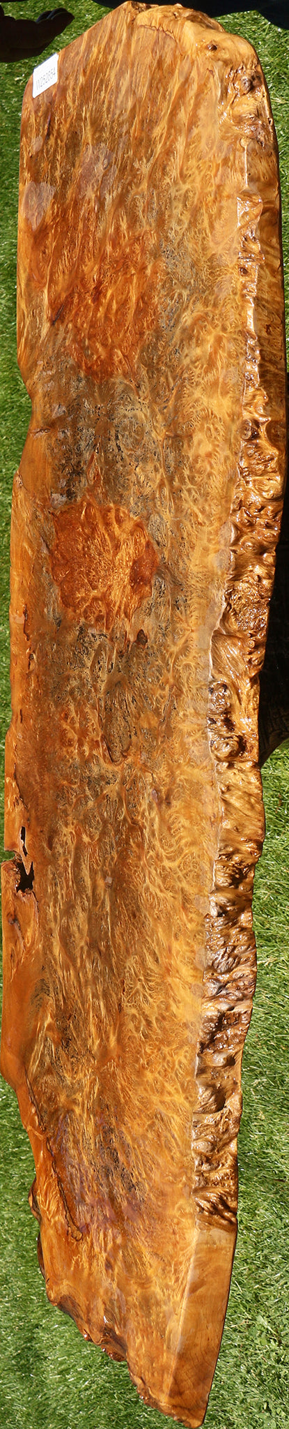 Asian Satinwood Burl Live Edge Mini Slab
