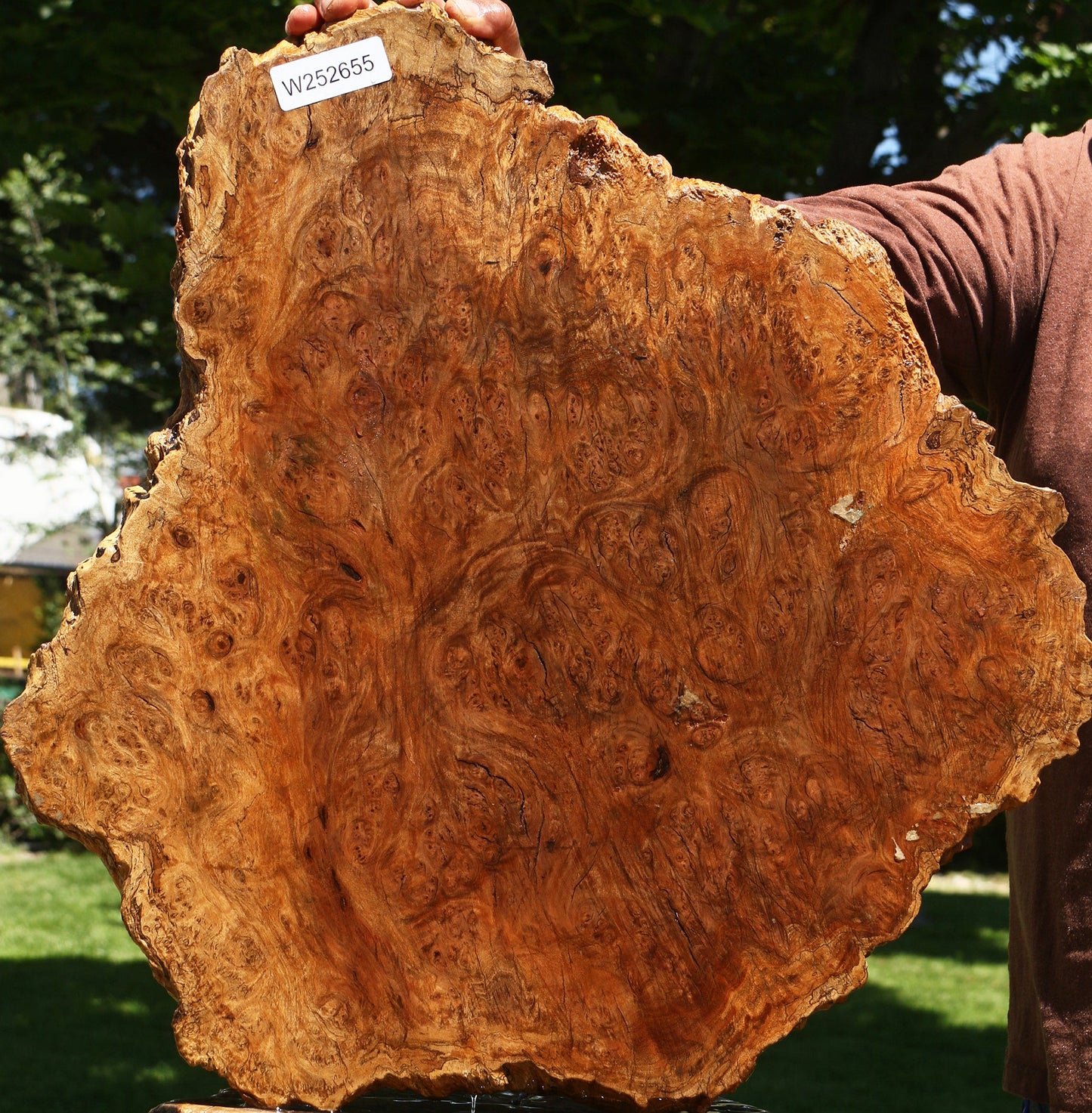 Asian Iron Burl Cookie
