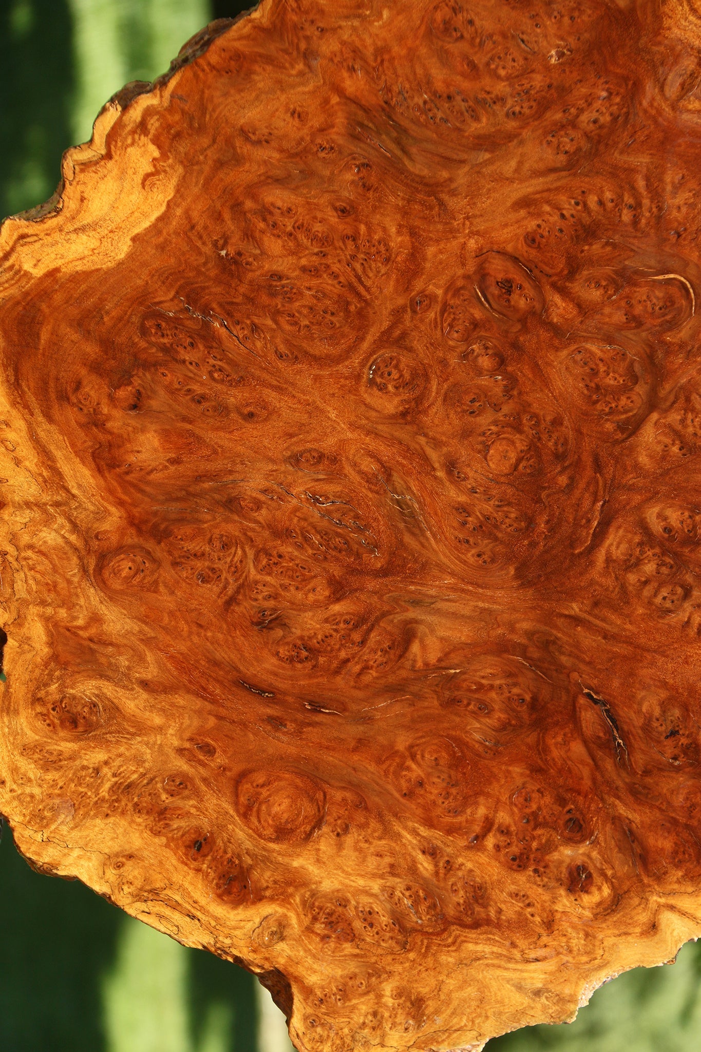 Asian Iron Burl Cookie