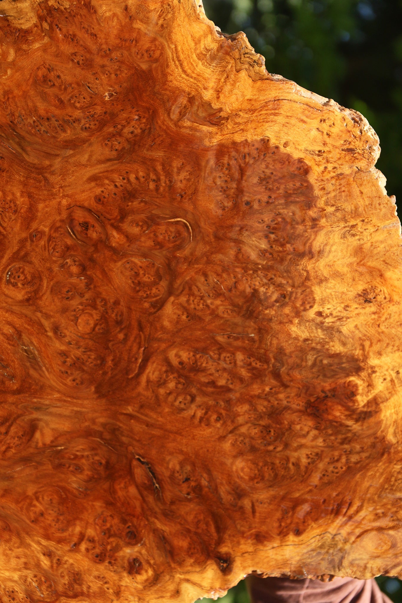 Asian Iron Burl Cookie