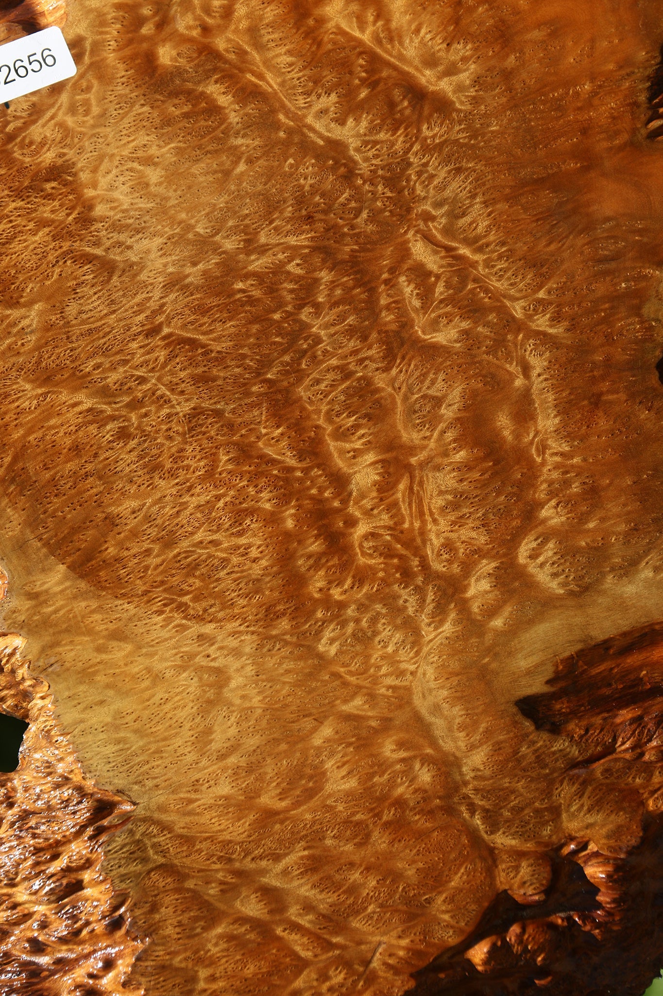 Asian Satinwood Burl Live Edge Mini Slab