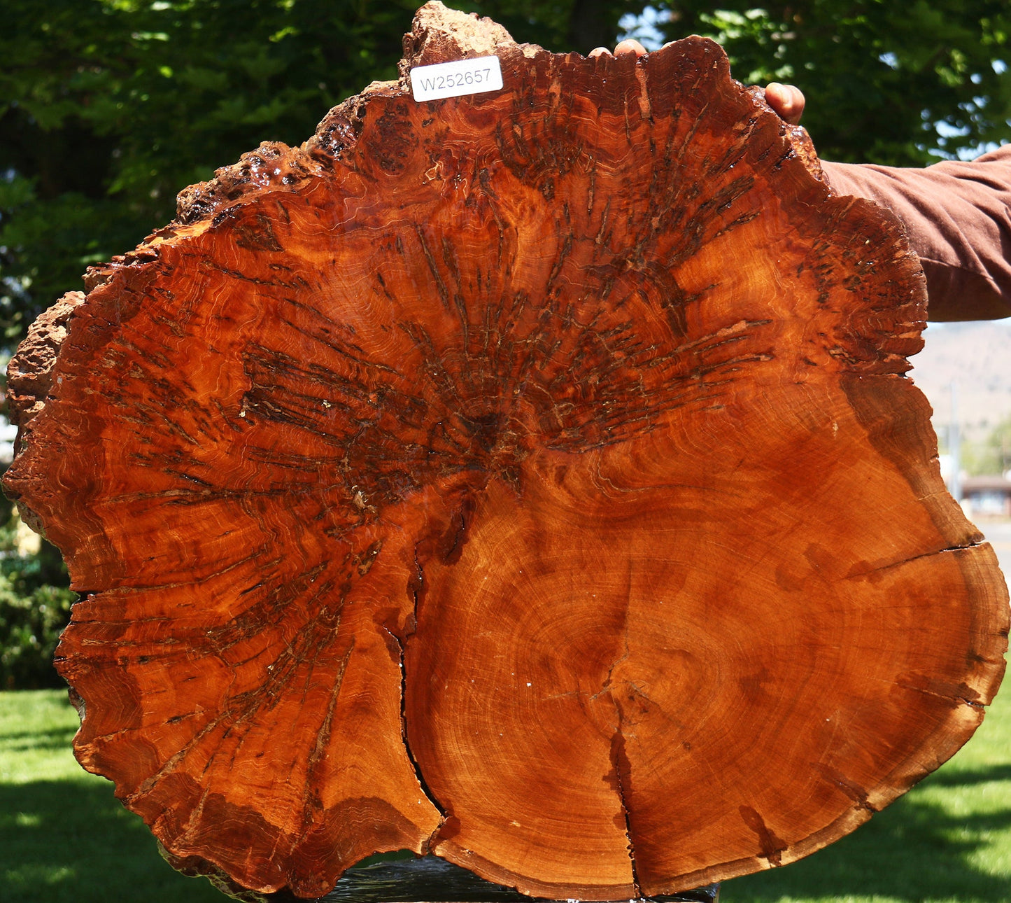 Pan Burl Cookie (Free Shipping Excluded)
