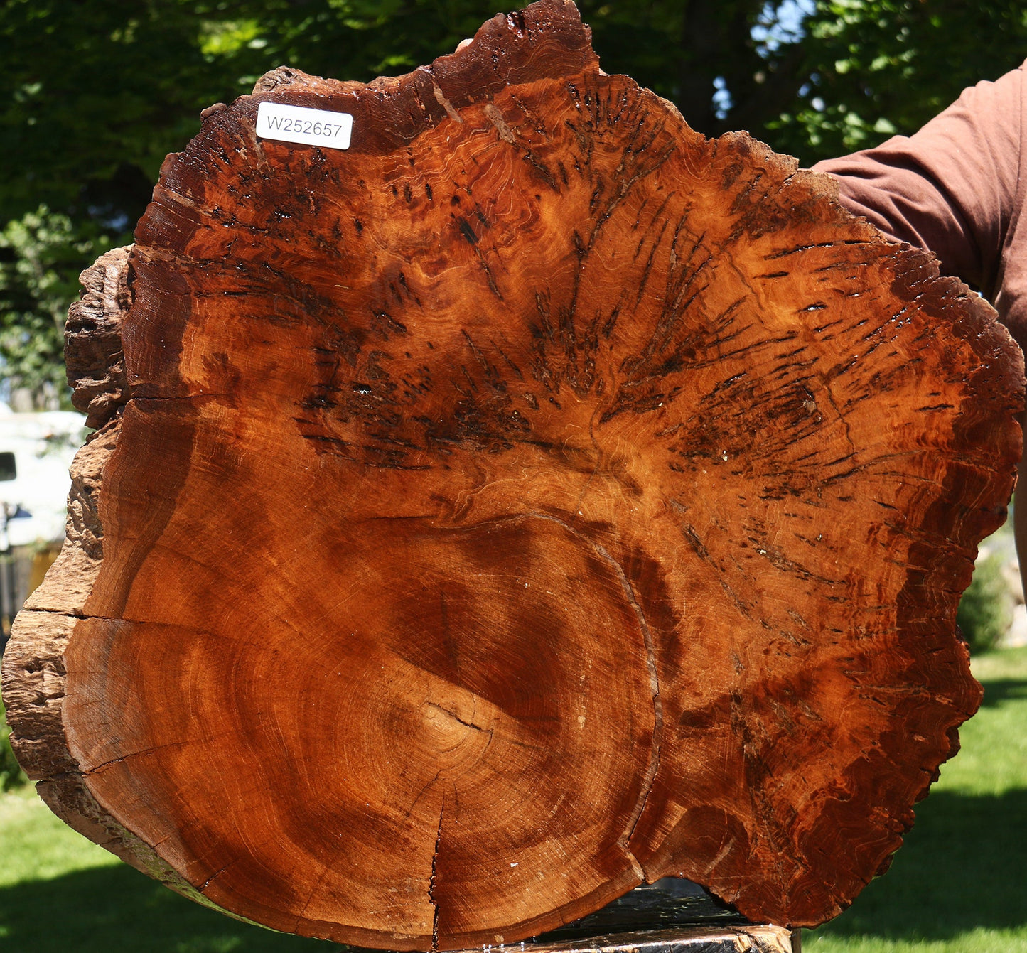 Pan Burl Cookie (Free Shipping Excluded)