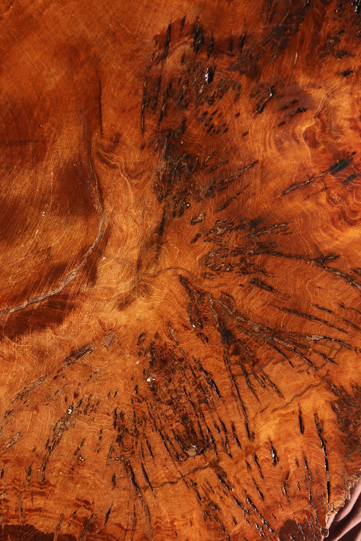 Pan Burl Cookie (Free Shipping Excluded)