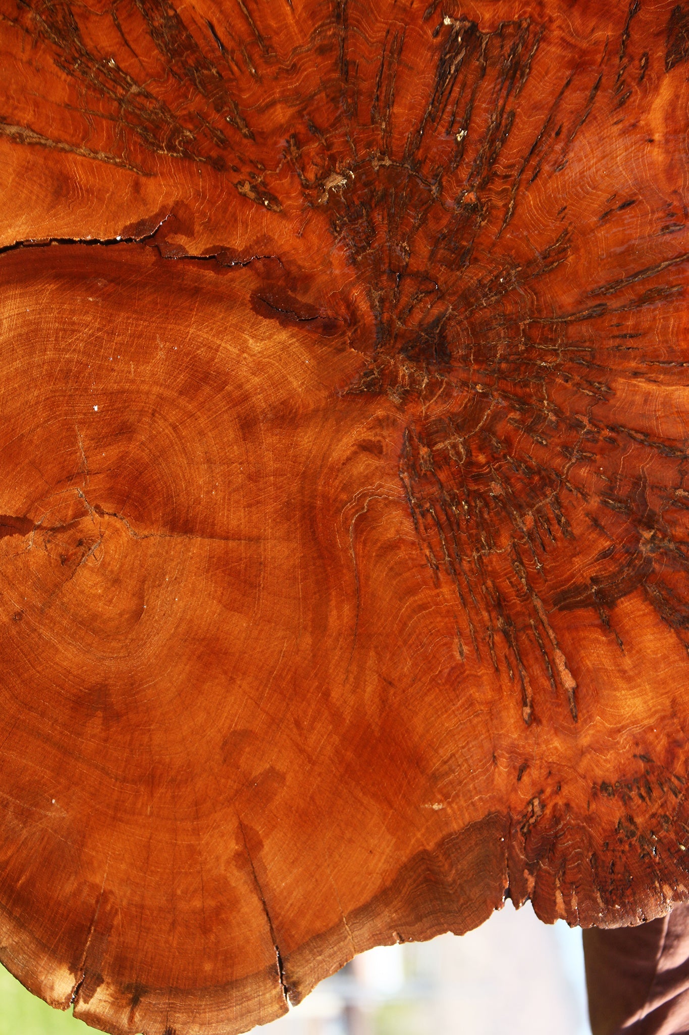 Pan Burl Cookie (Free Shipping Excluded)