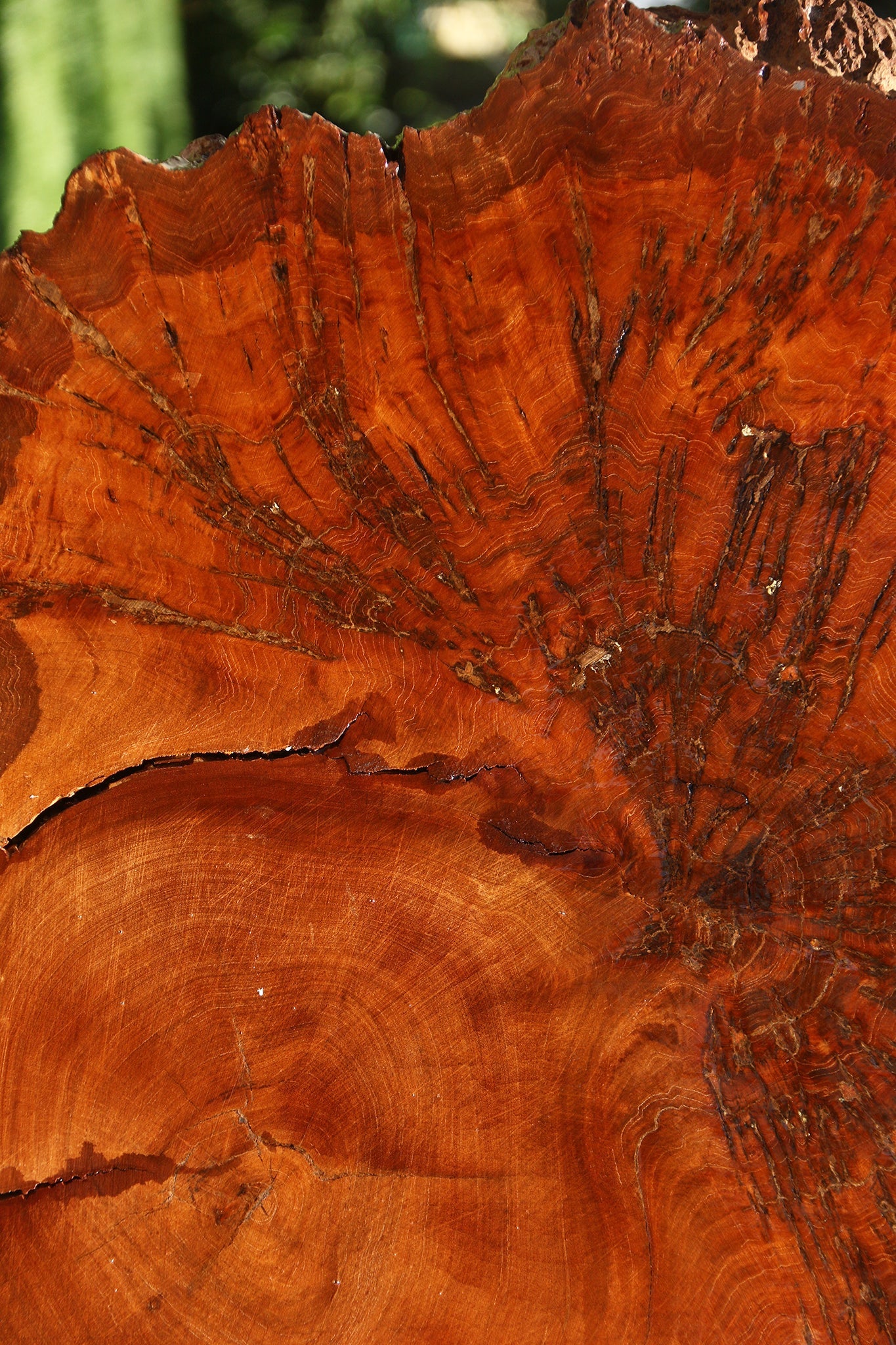 Pan Burl Cookie (Free Shipping Excluded)