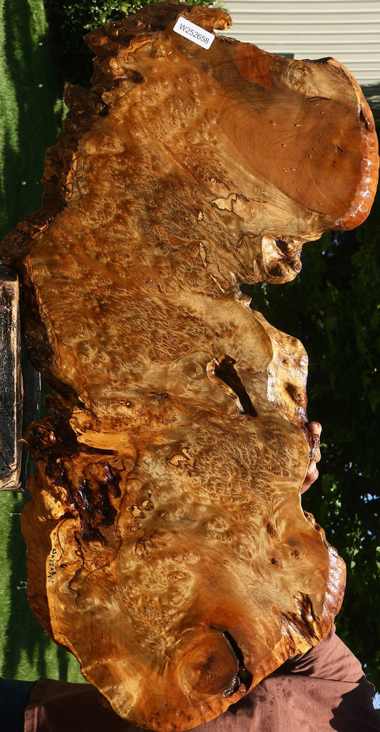 Asian Satinwood Burl Live Edge Mini Slab (Free Shipping Excluded)