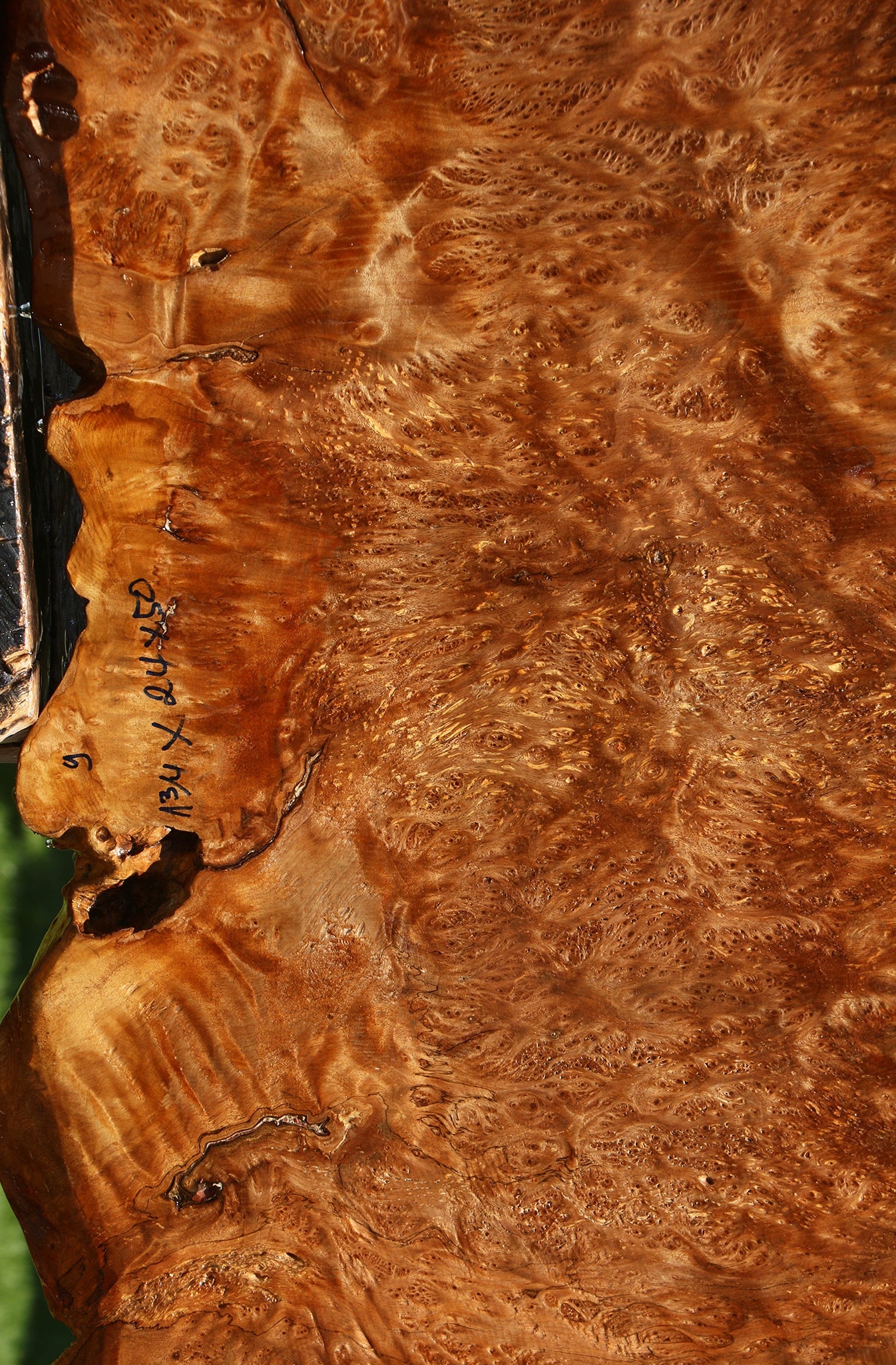Asian Satinwood Burl Live Edge Mini Slab (Free Shipping Excluded)