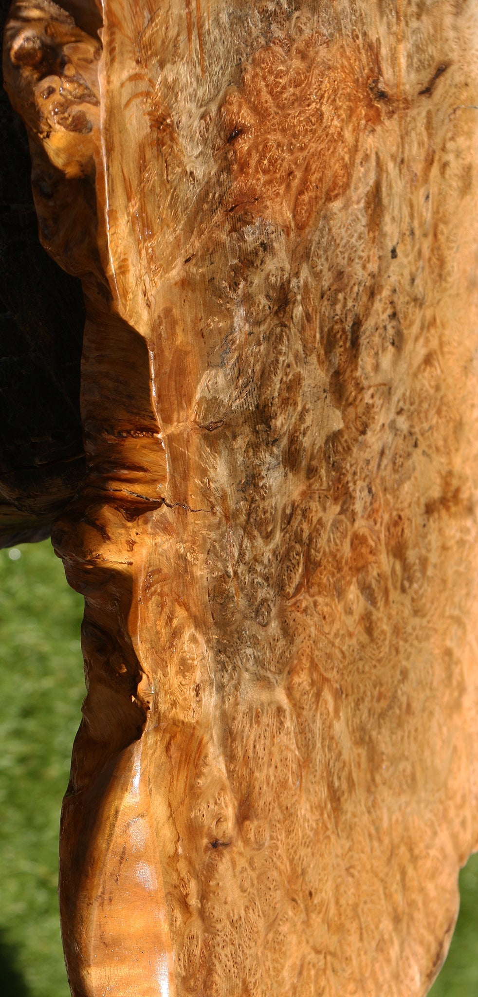 Asian Satinwood Burl Live Edge Mini Slab (Free Shipping Excluded)