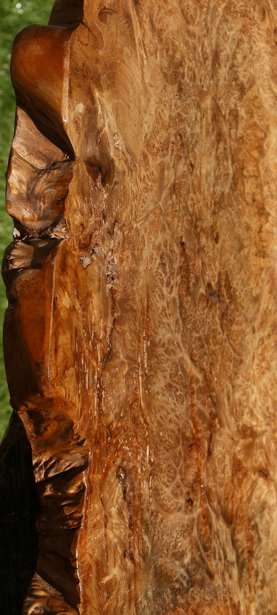 Asian Satinwood Burl Live Edge Mini Slab (Free Shipping Excluded)