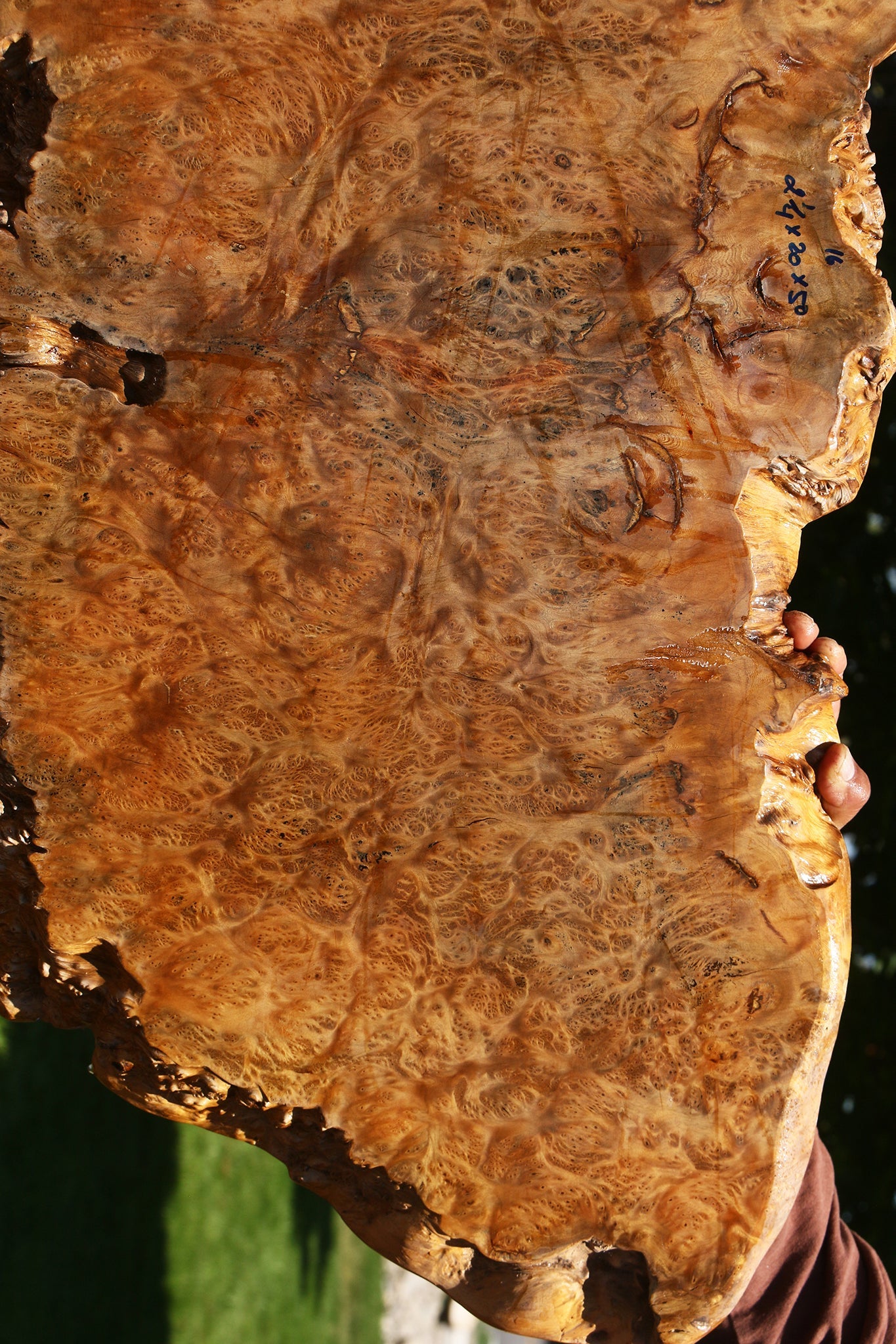 Asian Satinwood Burl Live Edge Mini Slab (Free Shipping Excluded)