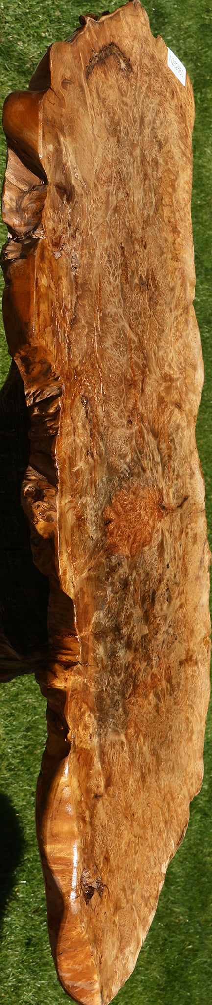 Asian Satinwood Burl Live Edge Mini Slab (Free Shipping Excluded)
