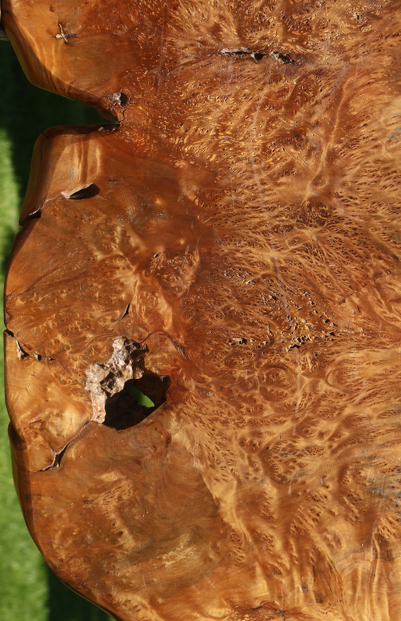 Asian Satinwood Burl Live Edge Mini Slab (Free Shipping Excluded)
