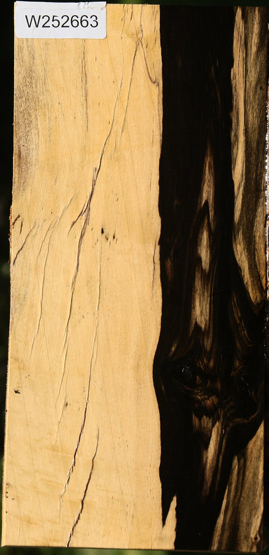 Rustic Black and White Ebony Burl Lumber
