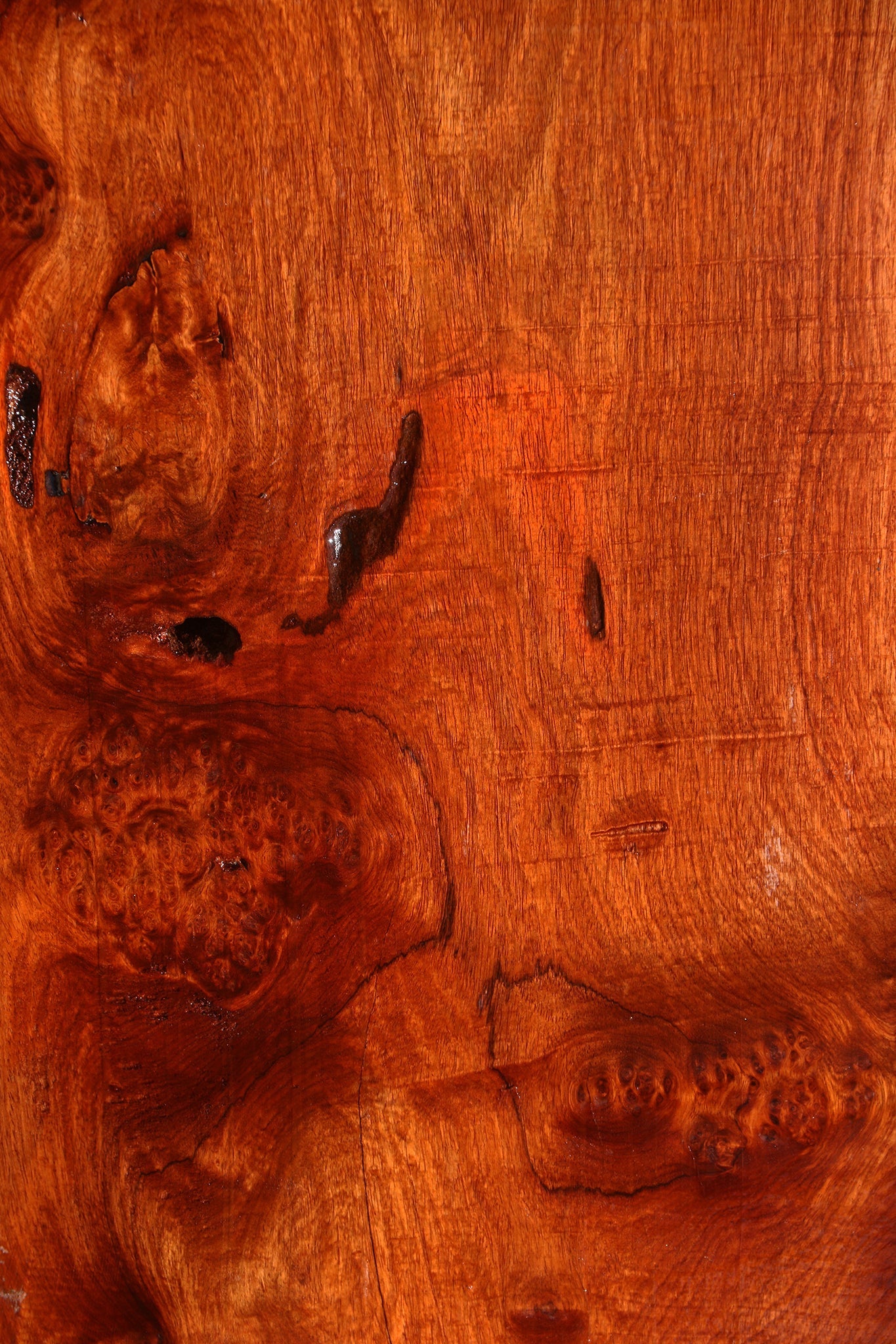 Amboyna Burl Mini Slab