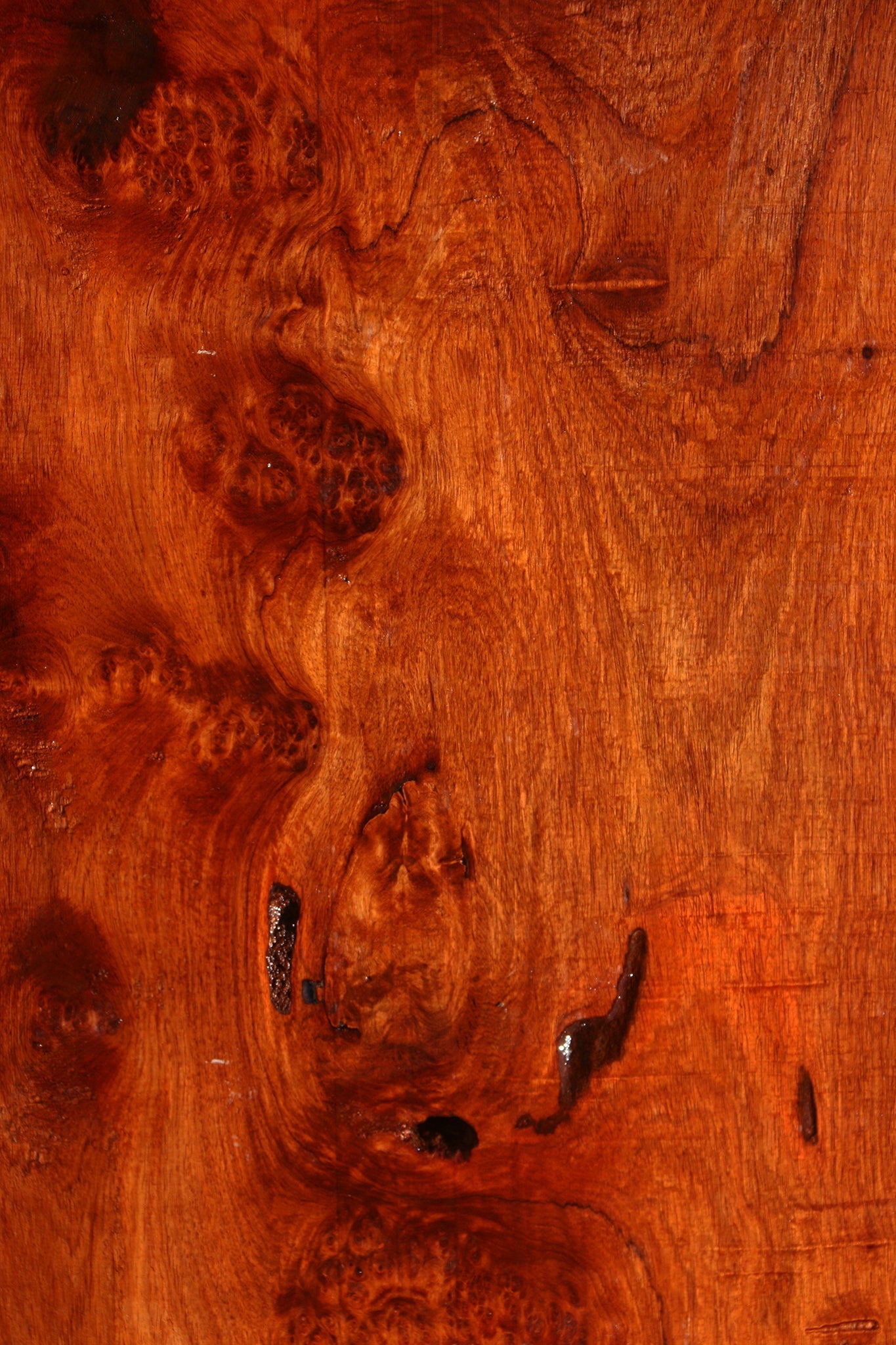 Amboyna Burl Mini Slab