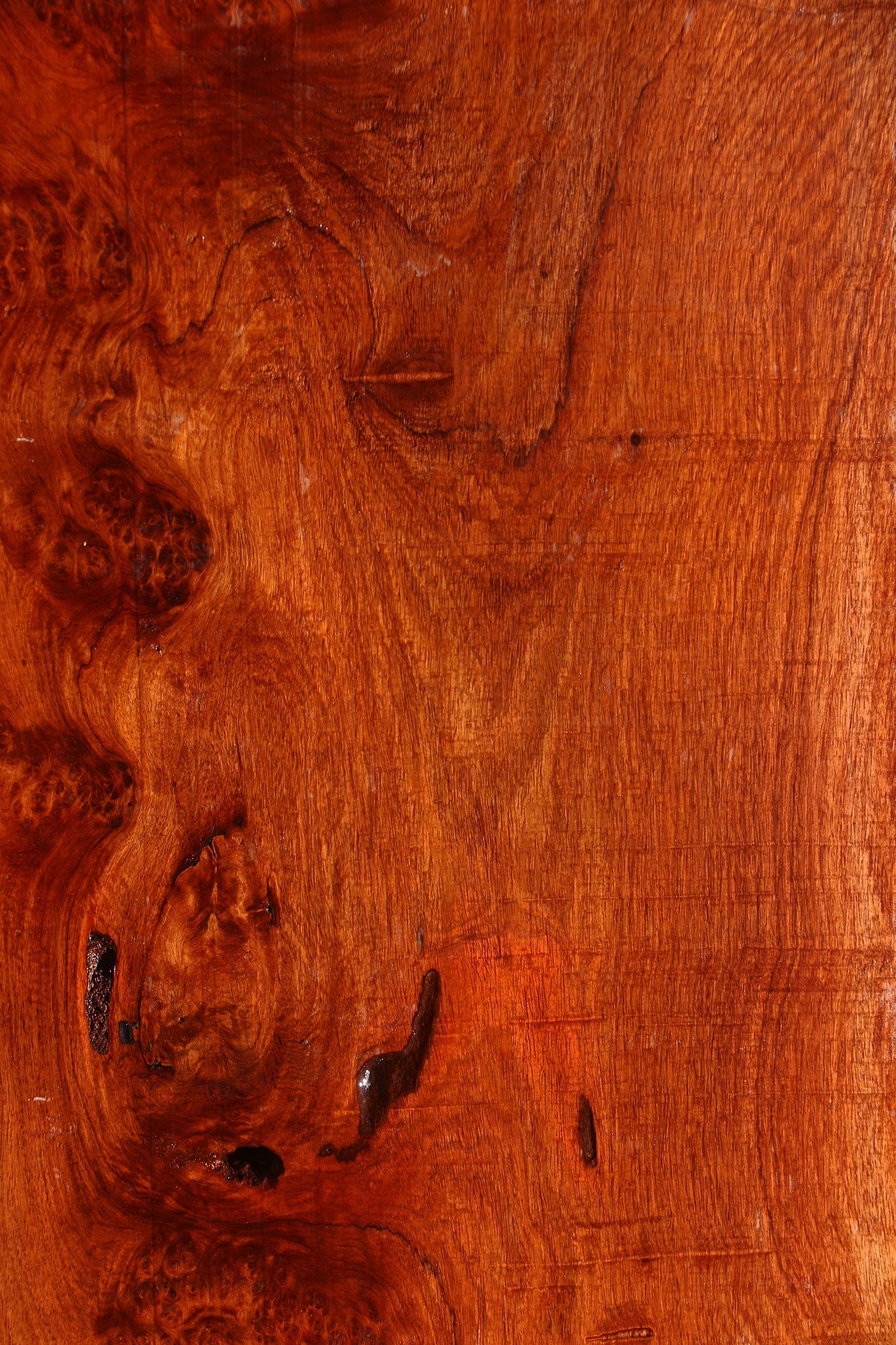 Amboyna Burl Mini Slab