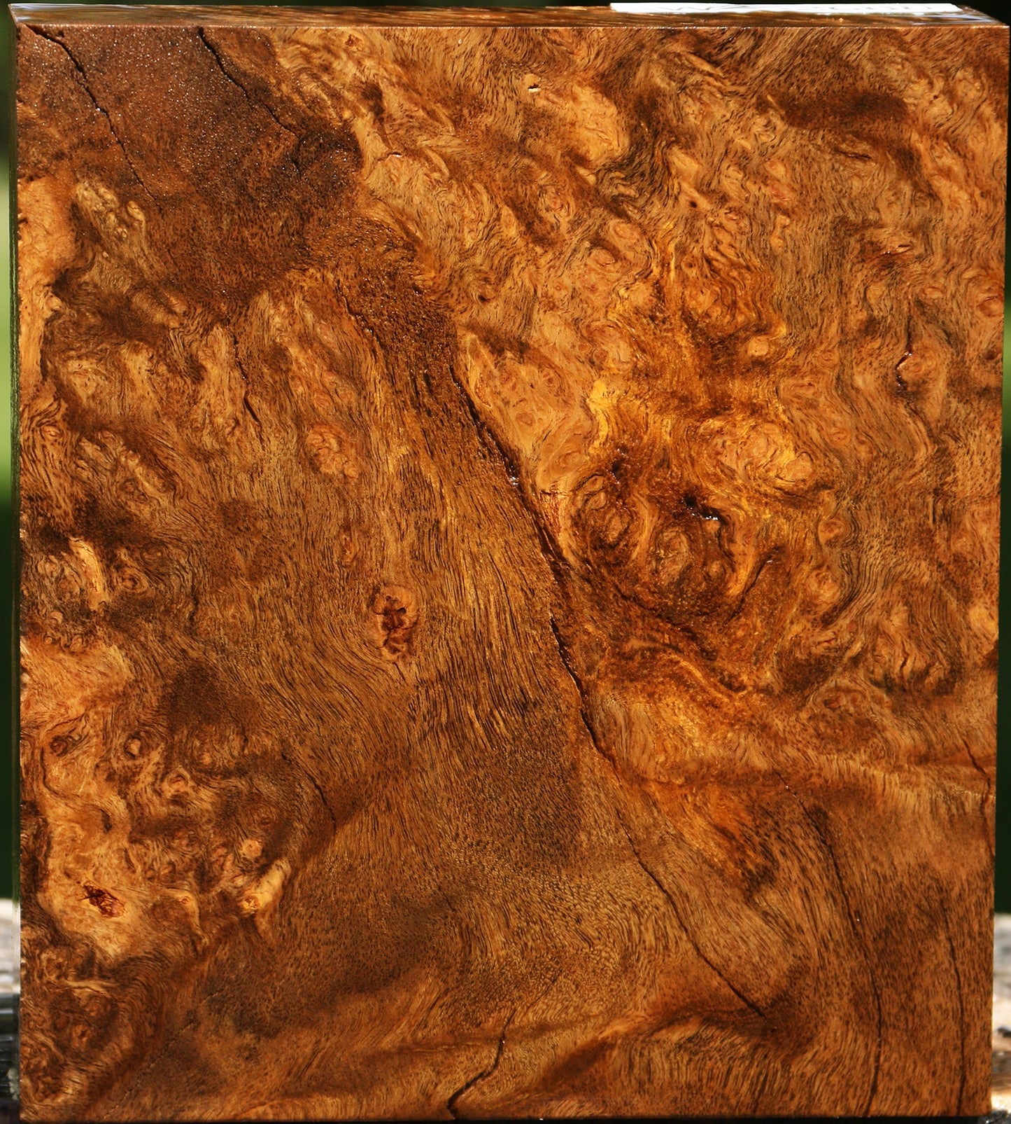Almond Burl Turning Blank