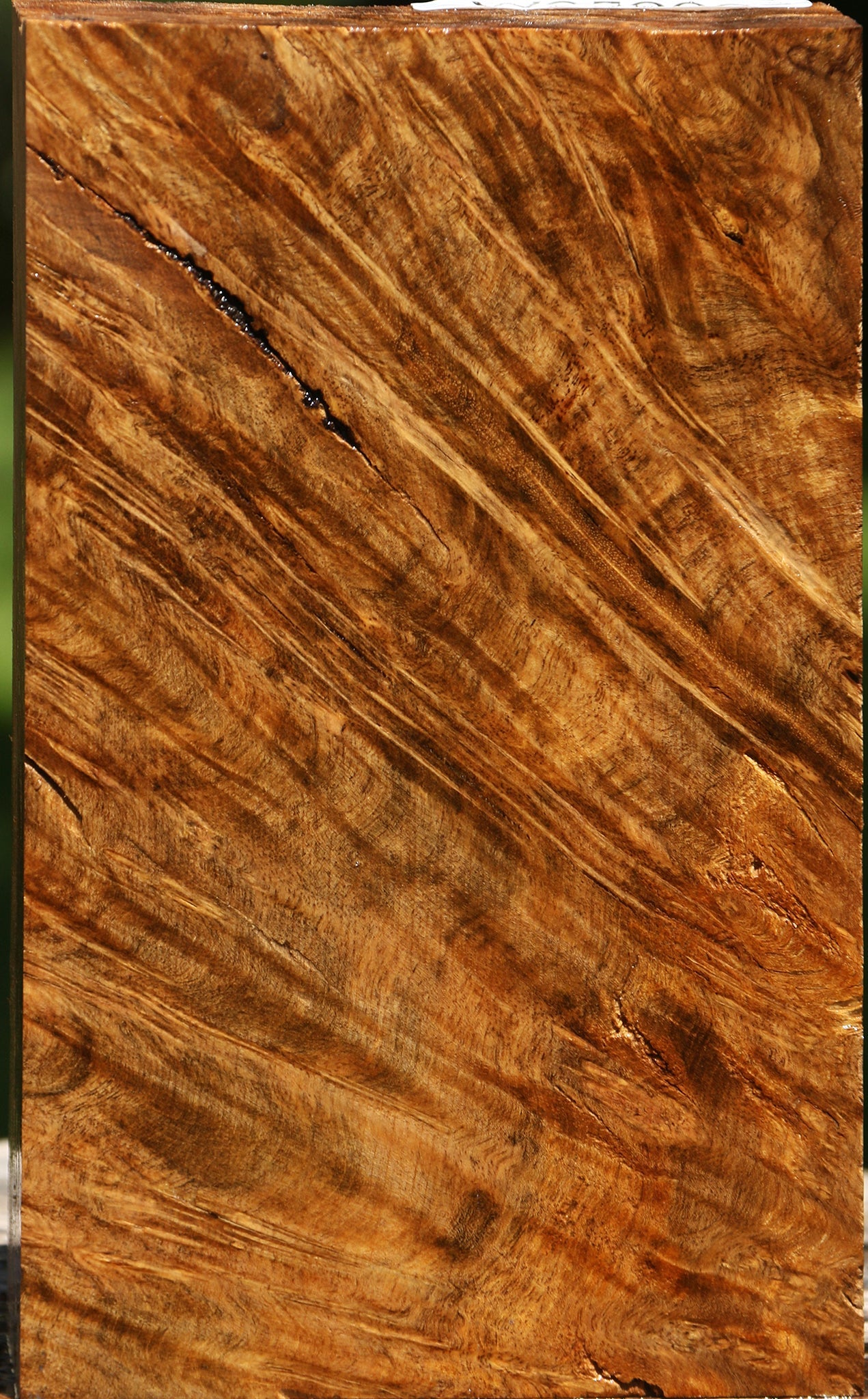Rustic Almond Burl Turning Blank