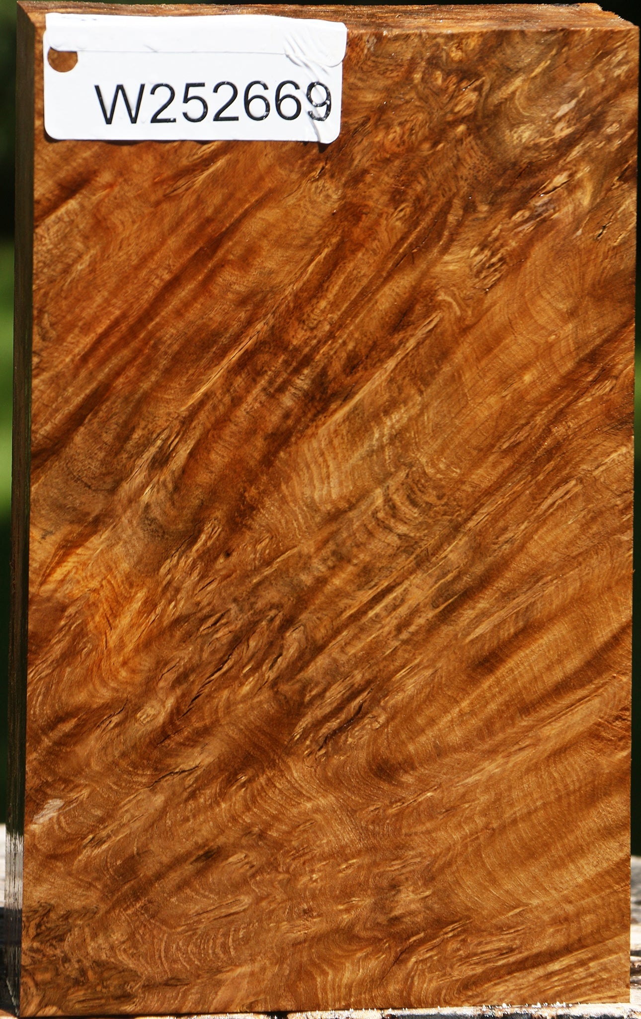 Rustic Almond Burl Turning Blank
