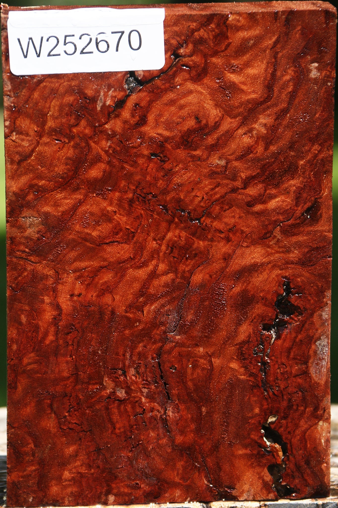 Rustic Asian Iron Burl Turning Blank