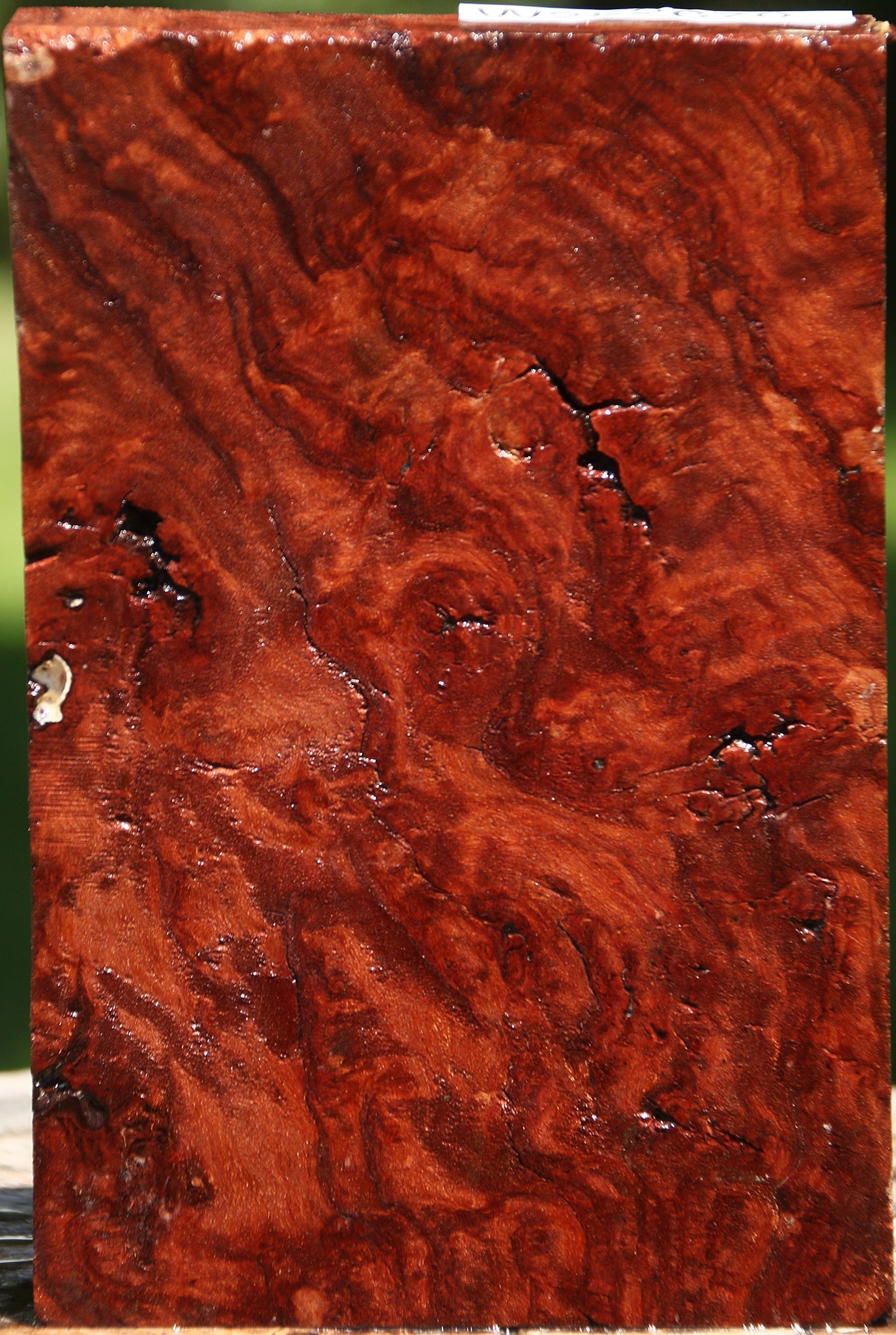 Rustic Asian Iron Burl Turning Blank
