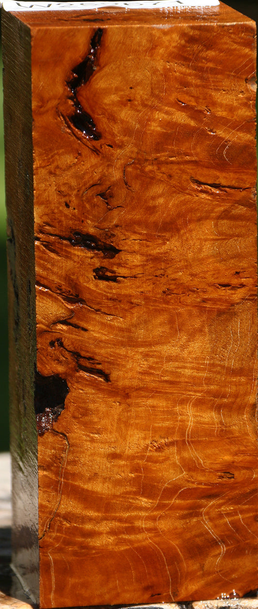 Hopea Stone Burl Turning Square