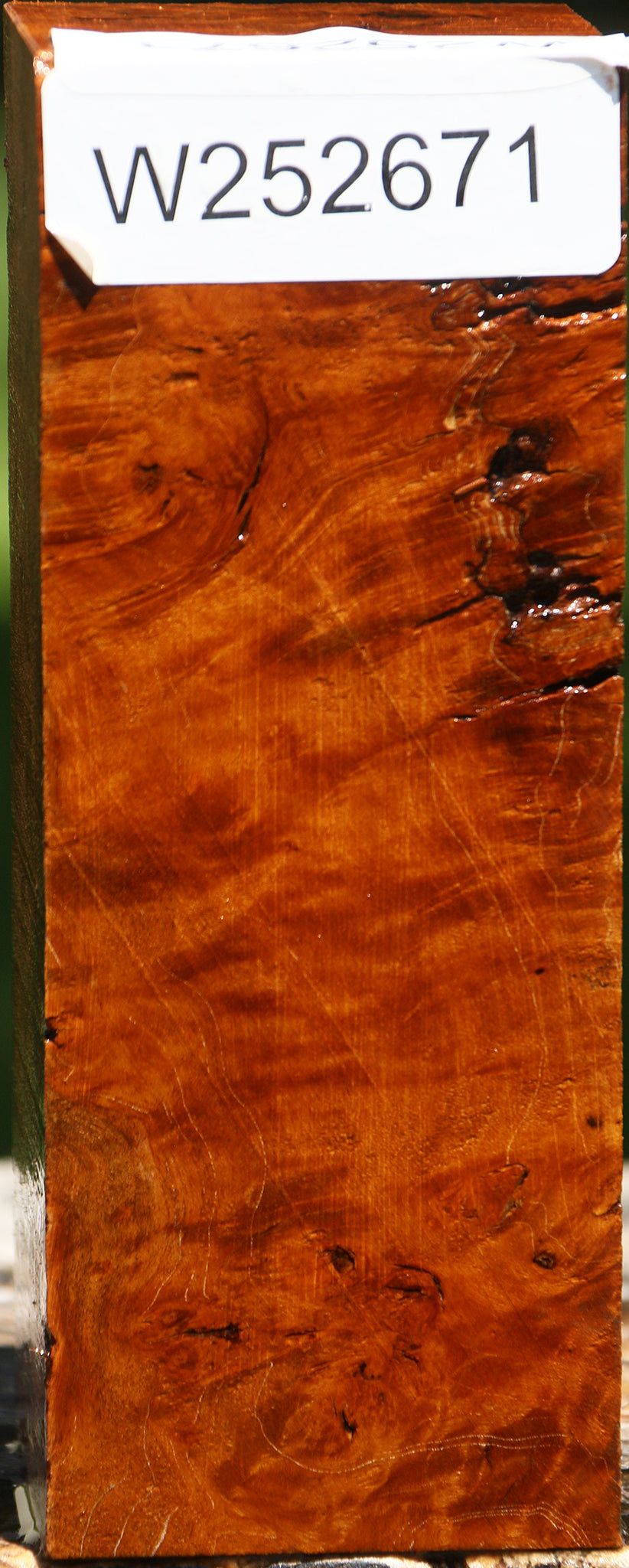 Hopea Stone Burl Turning Square