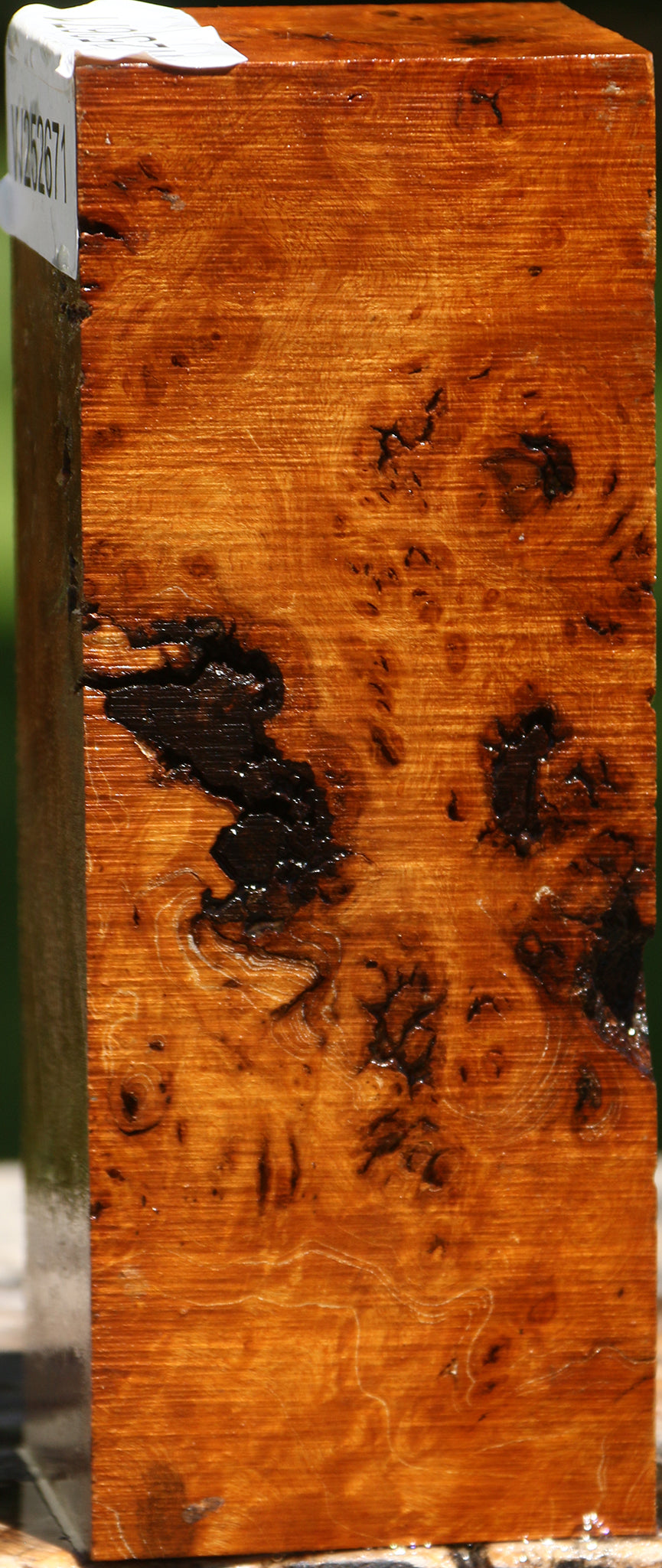 Hopea Stone Burl Turning Square