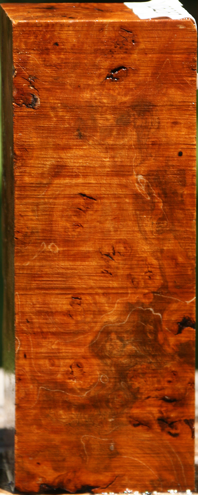 Hopea Stone Burl Turning Square