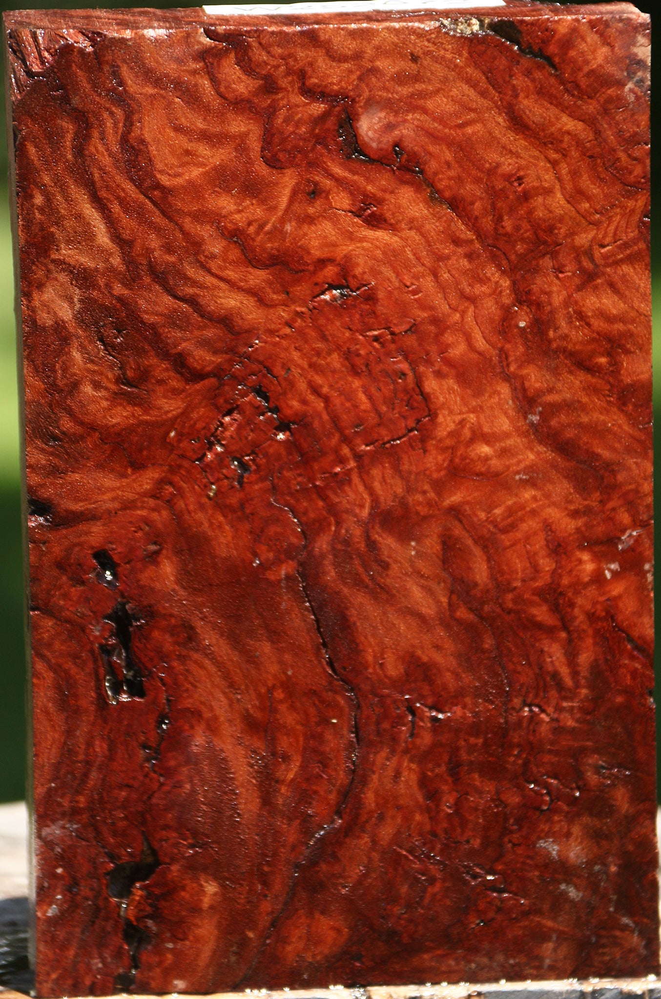 Rustic Asian Iron Burl Turning Blank