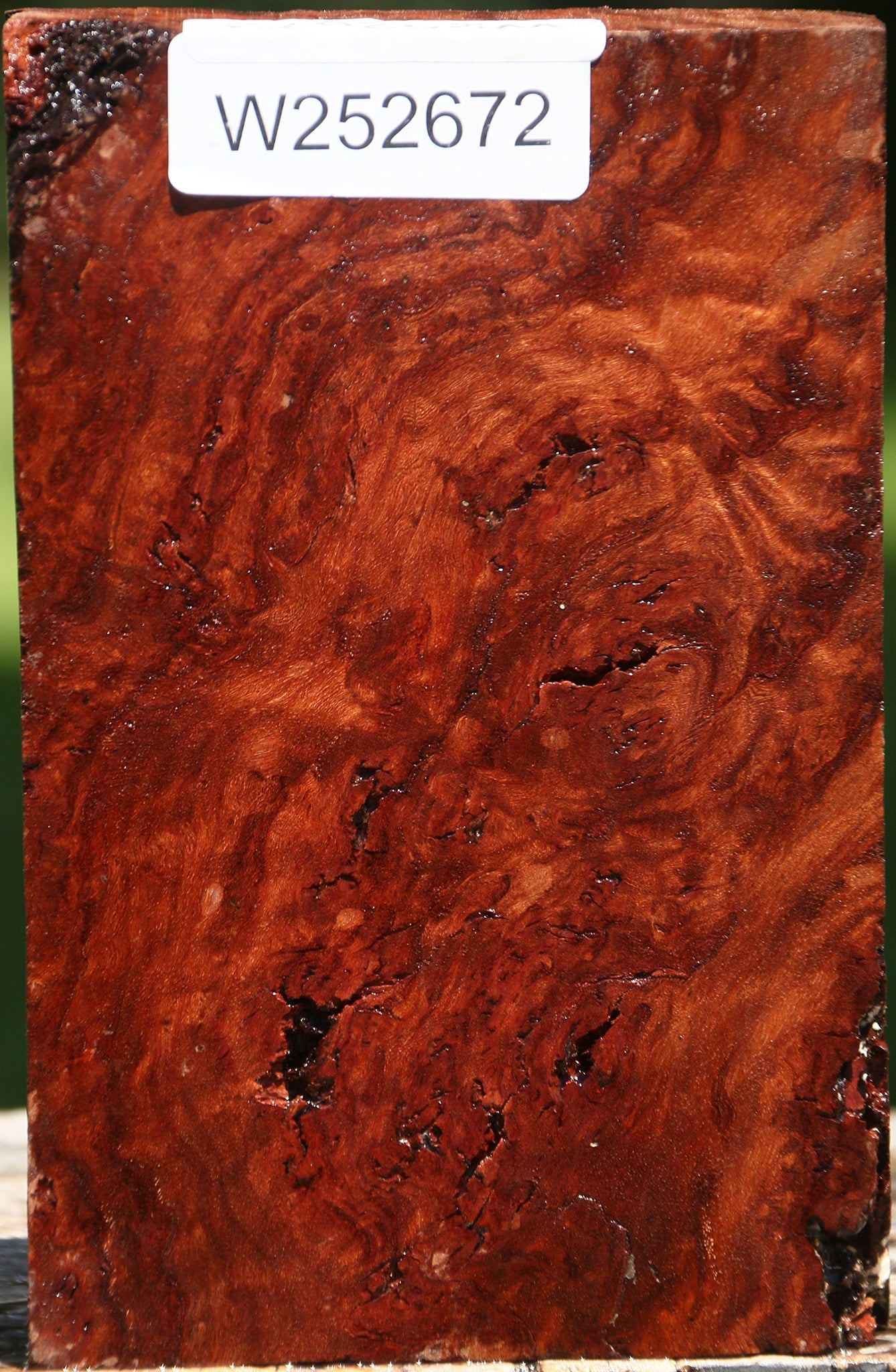 Rustic Asian Iron Burl Turning Blank