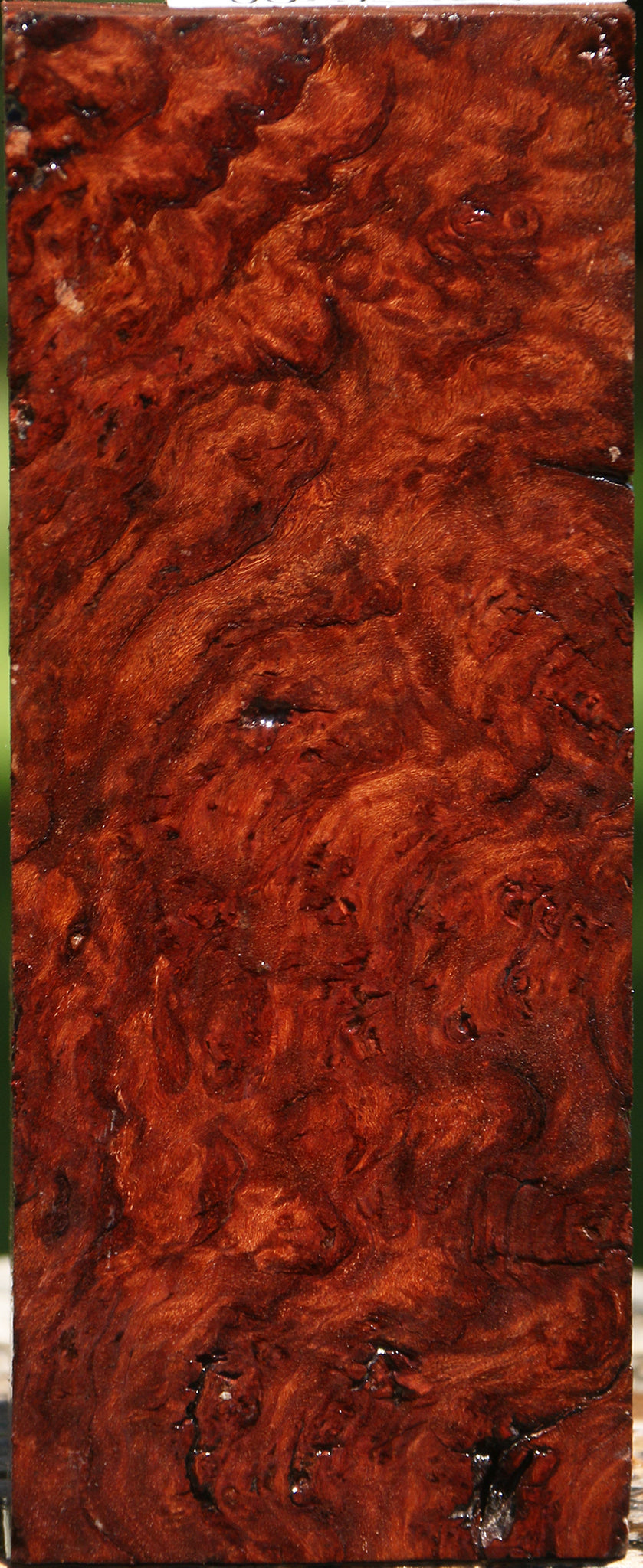Rustic Asian Iron Burl Turning Blank