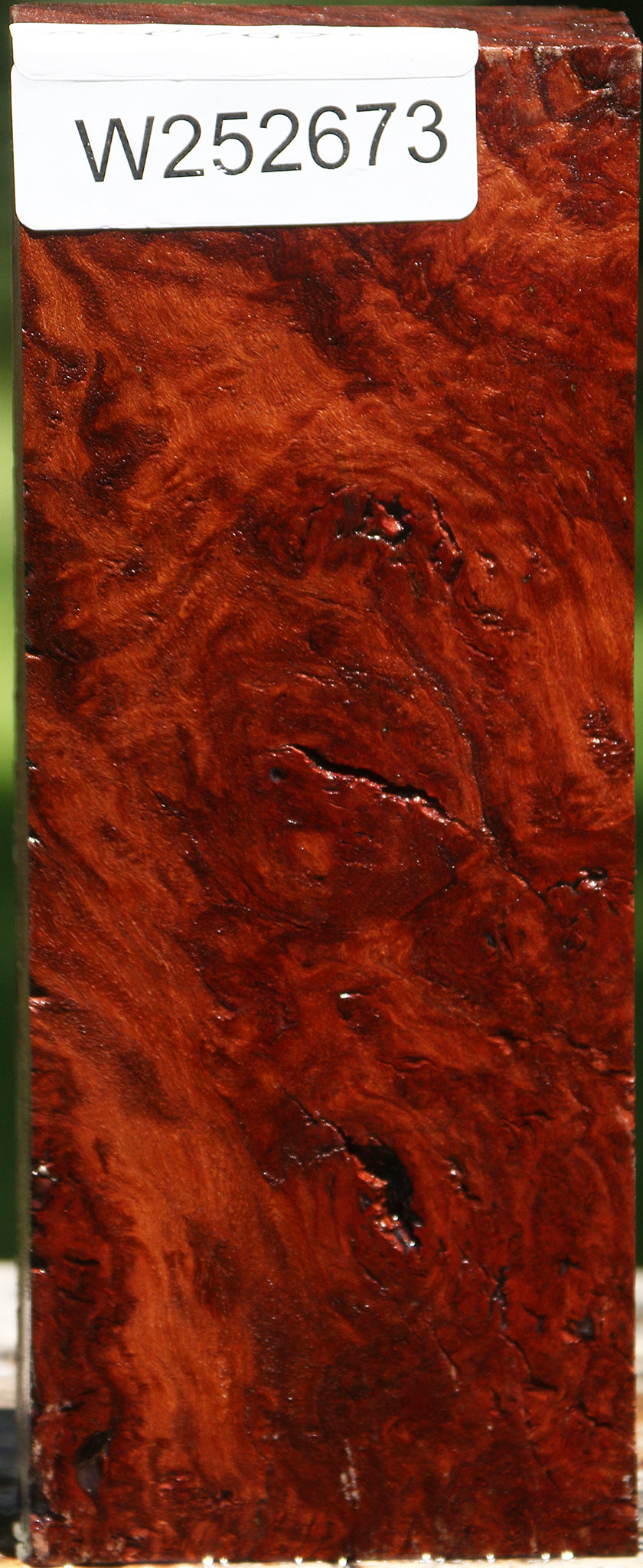 Rustic Asian Iron Burl Turning Blank