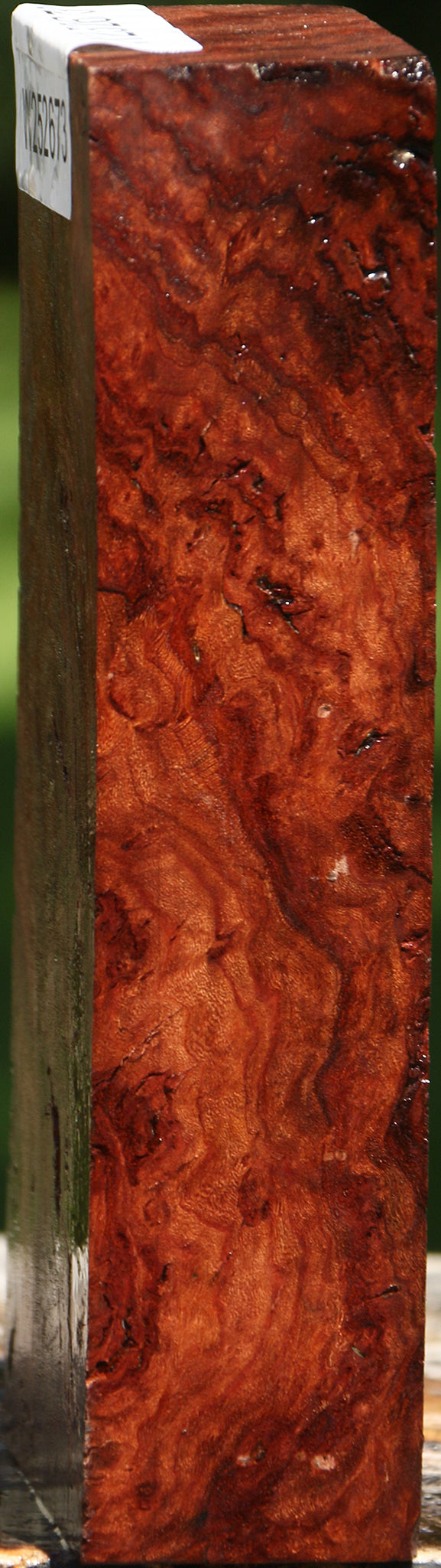 Rustic Asian Iron Burl Turning Blank