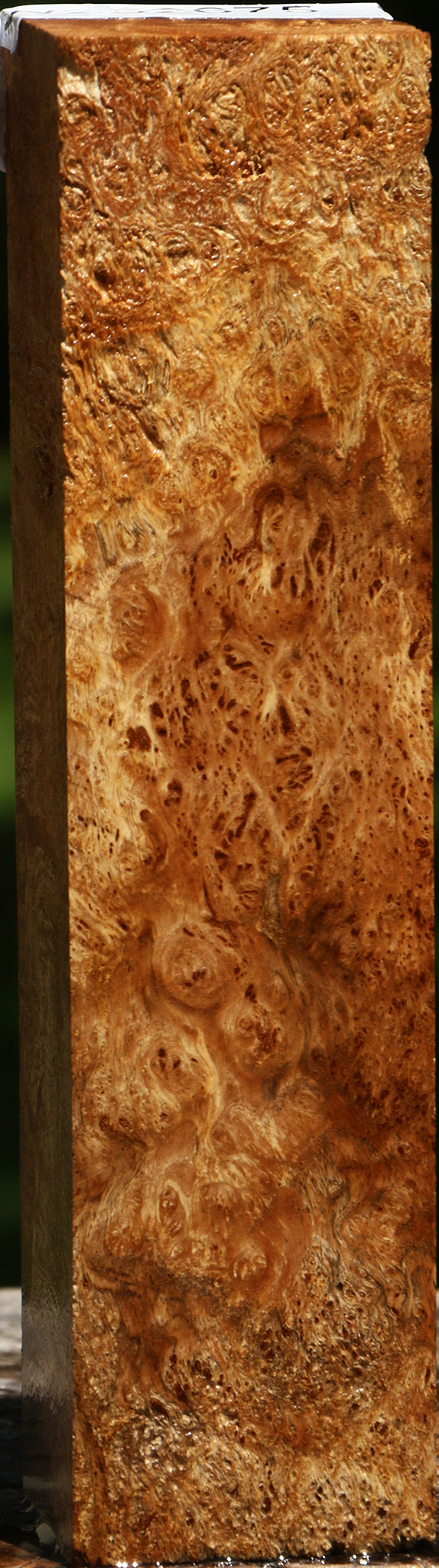 Asian Satinwood Burl Turning Square