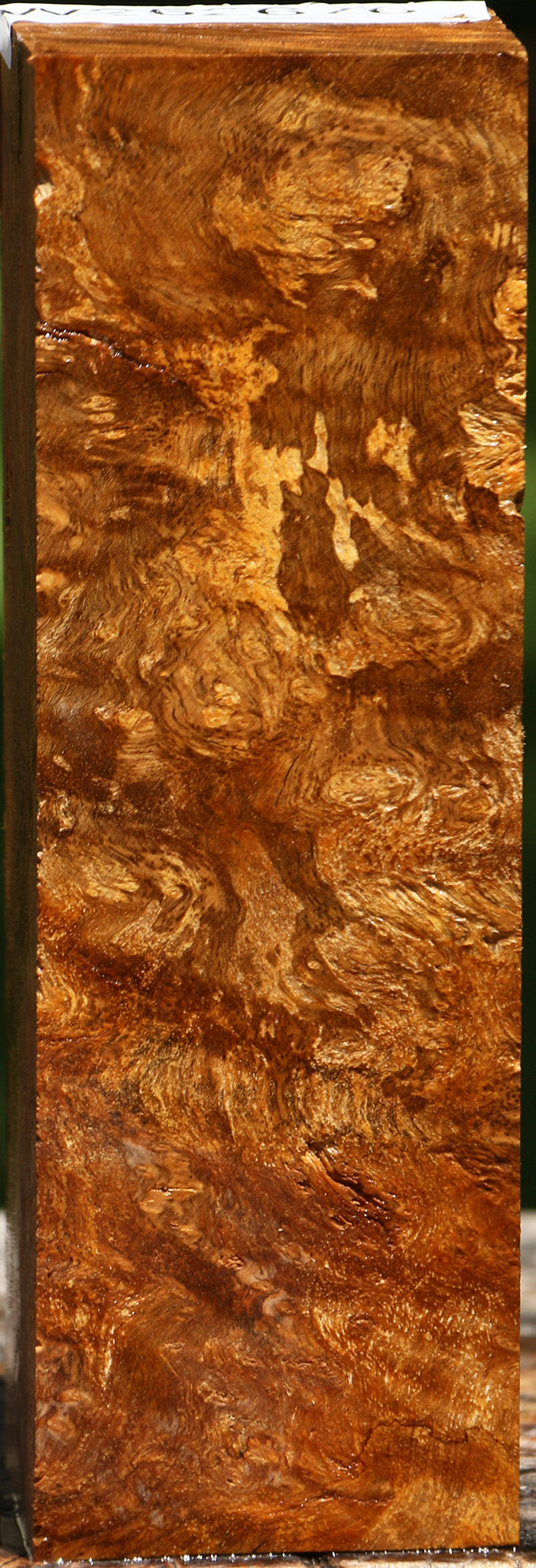 Almond Burl Turning Square
