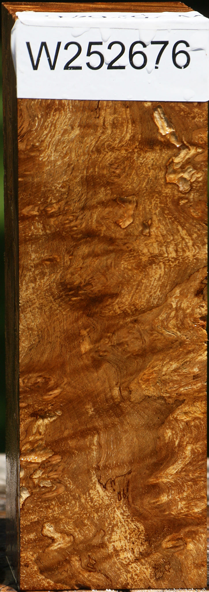 Almond Burl Turning Square