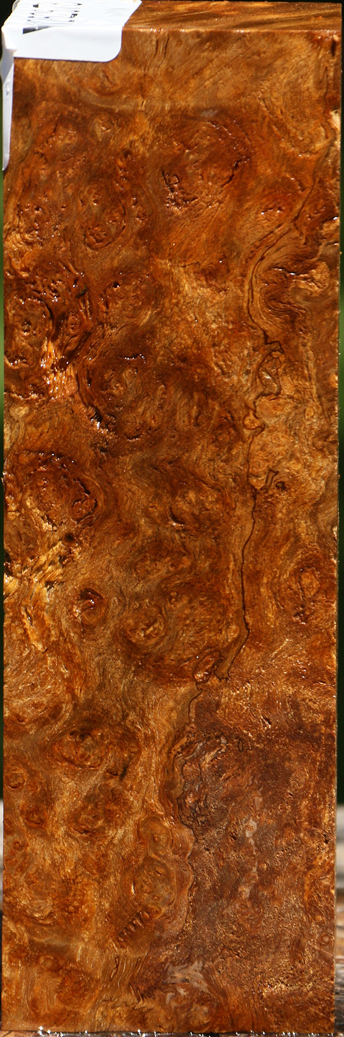 Almond Burl Turning Square