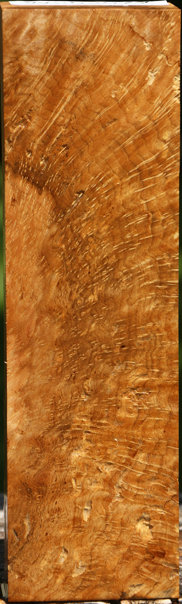 Extra Fancy Asian Satinwood Burl Turning Blank